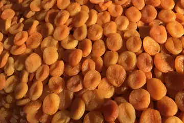 Discover the Best Online Kayısı: Your Guide to Malatya's Finest Apricots