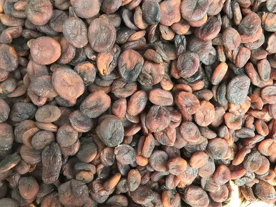Hediyelik kayısı paketi